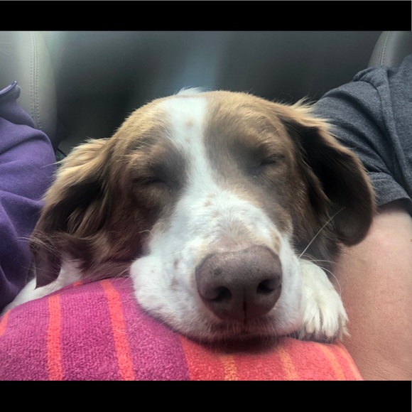 Meet your Posher, Lindsay - Picture 1 of 1